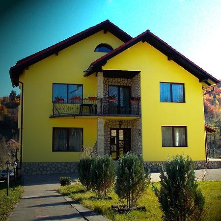 Casa Olteanu Pension Moieciu de Jos Εξωτερικό φωτογραφία