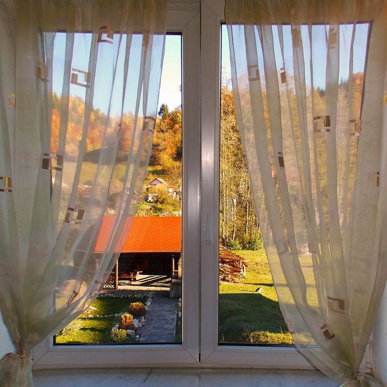Casa Olteanu Pension Moieciu de Jos Εξωτερικό φωτογραφία
